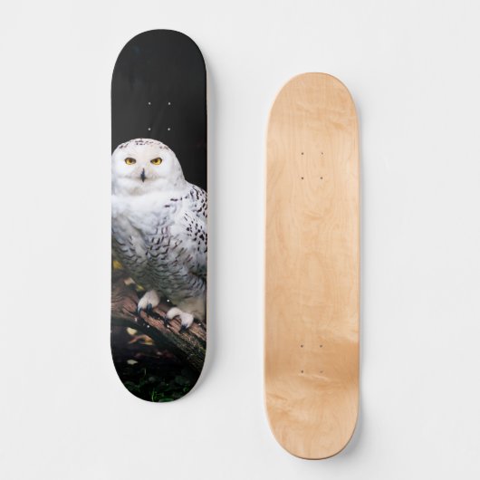 Sneusuil voor de winter persoonlijk skateboard (Voorkant)