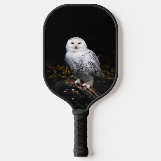 Sneusuil voor de winter pickleball paddle (Voorkant)