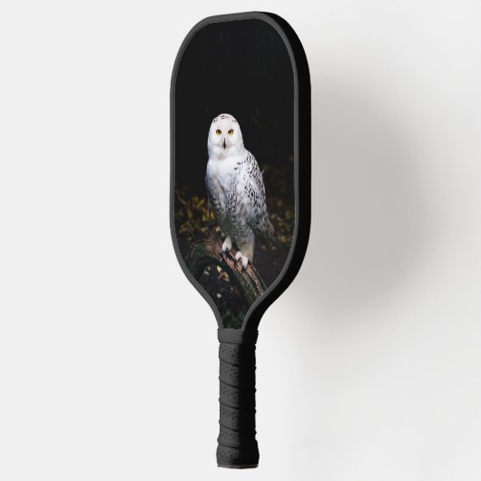 Sneusuil voor de winter pickleball paddle (Links)