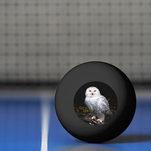 Sneusuil voor de winter pingpongbal (Net)