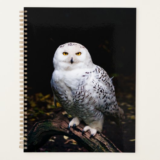 Sneusuil voor de winter planner (Voorkant)