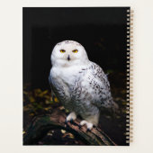 Sneusuil voor de winter planner (Achterkant)