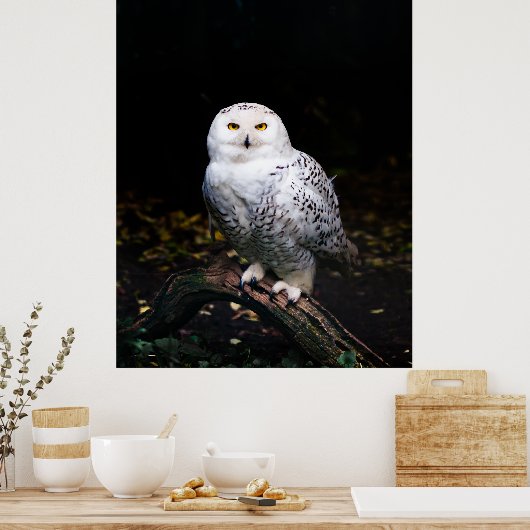 Sneusuil voor de winter poster (Keuken)