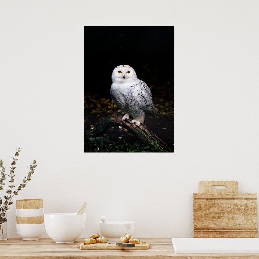 Sneusuil voor de winter poster (Keuken)