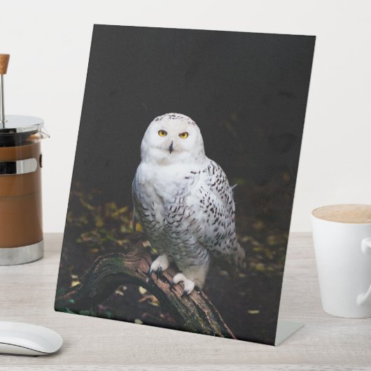 Sneusuil voor de winter reclamebord met voetstuk (Insitu)