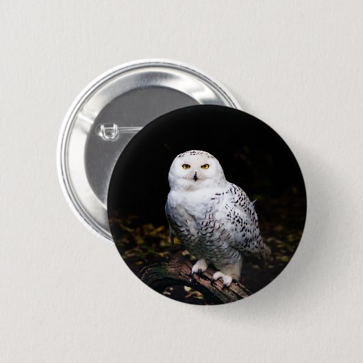 Sneusuil voor de winter ronde button 5,7 cm (Voorkant /achterkant)