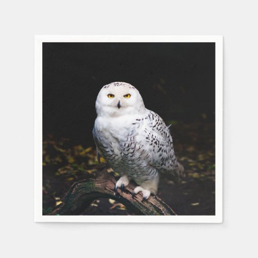 Sneusuil voor de winter servet (Voorkant)