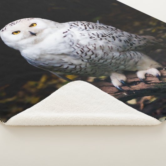 Sneusuil voor de winter sherpa deken (3/4)