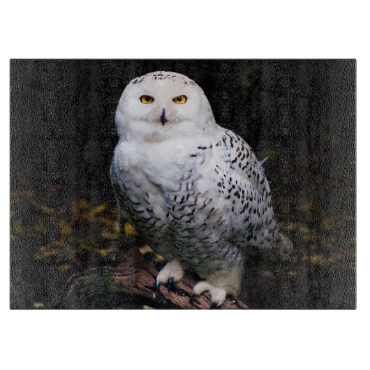 Sneusuil voor de winter snijplank (Voorkant)