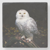 Sneusuil voor de winter stenen onderzetter (Voorkant)