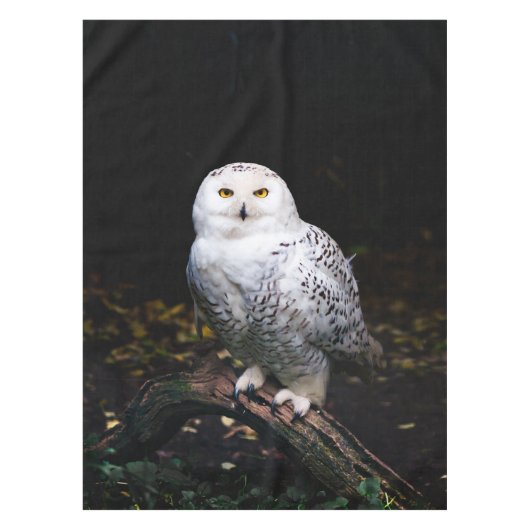 Sneusuil voor de winter tafelkleed (Voorkant)