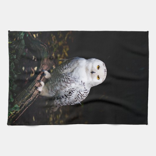 Sneusuil voor de winter theedoek (Horizontaal)