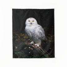 Sneusuil voor de winter