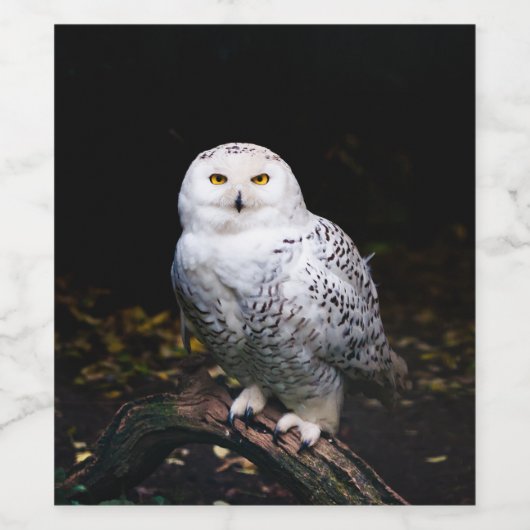 Sneusuil voor de winter wijn etiket (Enkel label)