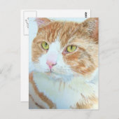 Snickers het Briefkaart van de Kat (Voorkant / Achterkant)