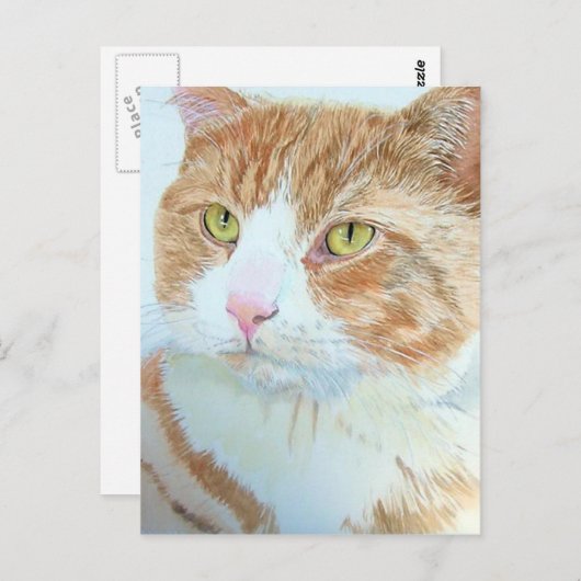 Snickers het Briefkaart van de Kat (Voorkant / Achterkant)