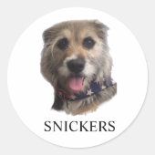 SNICKERS STICKER (Voorkant)