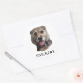 SNICKERS STICKER (Envelop)