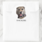 SNICKERS STICKER (Tas)