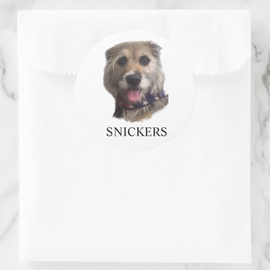 SNICKERS STICKER (Tas)