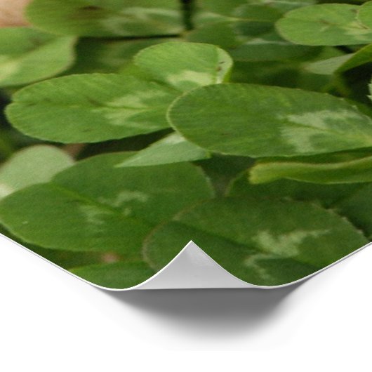 Sniffing Clover Poster (Hoek)