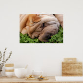 Sniffing Clover Poster (Keuken)