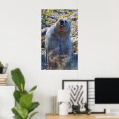 Sniffing Kermode (Spirit) Beer Wildlife Scene Poster (Thuiskantoor)