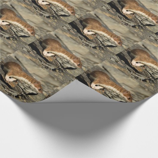Sniffing Weasel Cadeaupapier (Hoek)