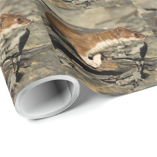 Sniffing Weasel Cadeaupapier (Rol Hoek)