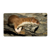 Sniffing Weasel Etiket (Voorkant)
