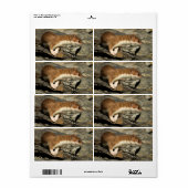 Sniffing Weasel Etiket (Full Sheet)