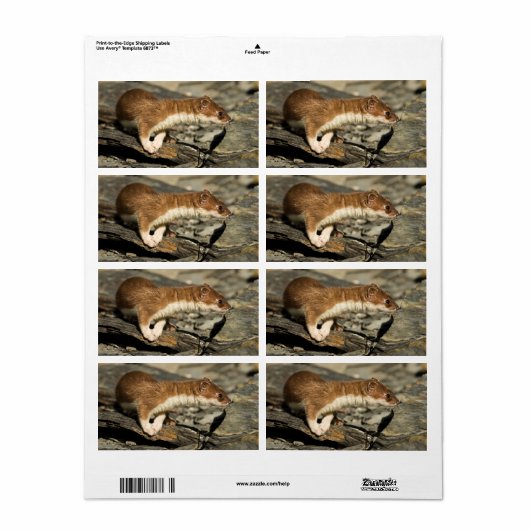 Sniffing Weasel Etiket (Full Sheet)