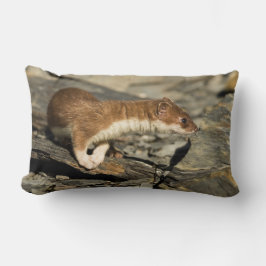 Sniffing Weasel Kussen