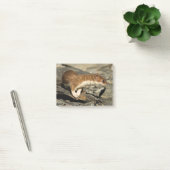 Sniffing Weasel Post-it® Notes (Kantoor)