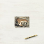 Sniffing Weasel Post-it® Notes (Op bureau)
