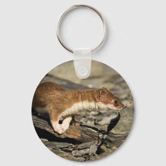 Sniffing Weasel Sleutelhanger (Voorkant)