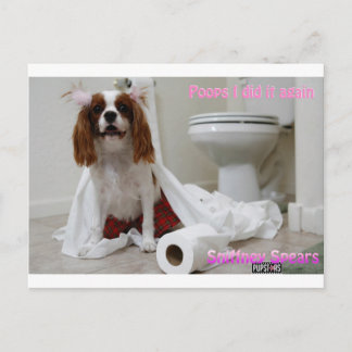 Snifney Spears Briefkaart