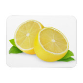 Snij citroen magneet (Horizontaal)