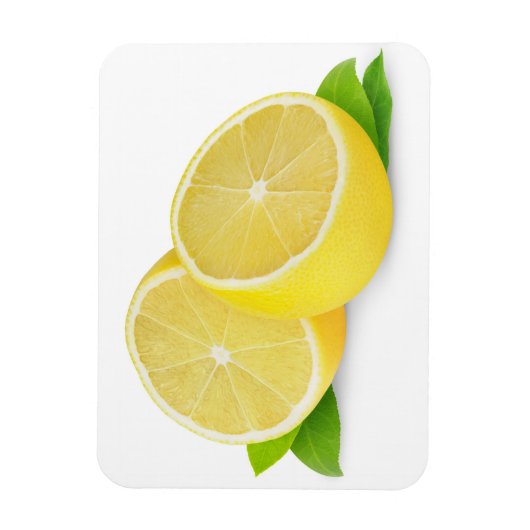 Snij citroen magneet (Verticaal)