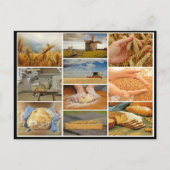 Snijbiet Briefkaart (Voorkant)