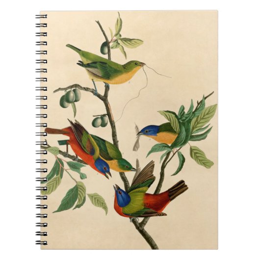  snijbiet van audubon notitieboek (Voorkant)