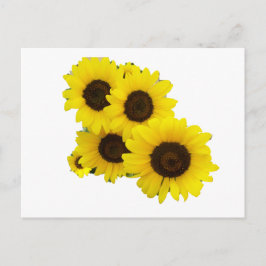 Snijbloemen Briefkaart