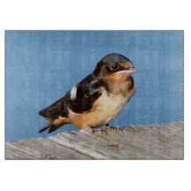 Snijbord voor Barn Swallow