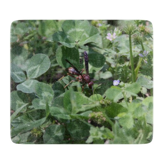 Snijbord voor wasgoed snijplank (Voorkant)