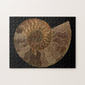 Snijd Ammonite Fossil Legpuzzel (Horizontaal)