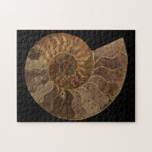 Snijd Ammonite Fossil Legpuzzel