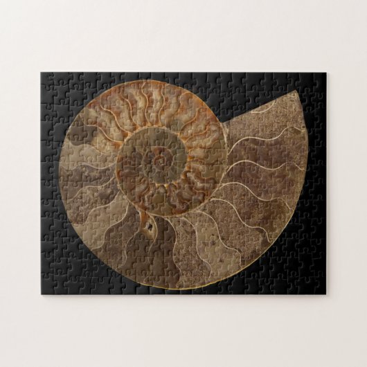 Snijd Ammonite Fossil Legpuzzel (Horizontaal)