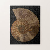 Snijd Ammonite Fossil Legpuzzel (Verticaal)