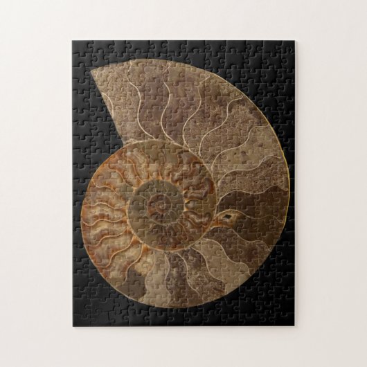 Snijd Ammonite Fossil Legpuzzel (Verticaal)