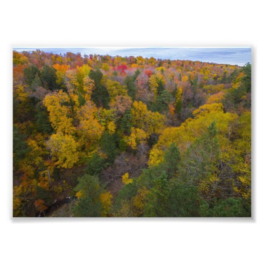 Snijdal, Herfst, Michigan Foto Afdruk (Voorkant)